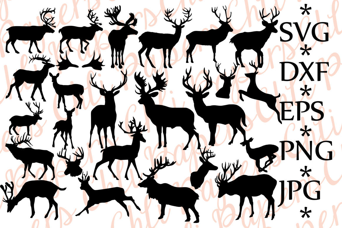 Download Deer silhouettes svg,DEER SVG, Silhouettes Svg By ChiliPapers | TheHungryJPEG.com