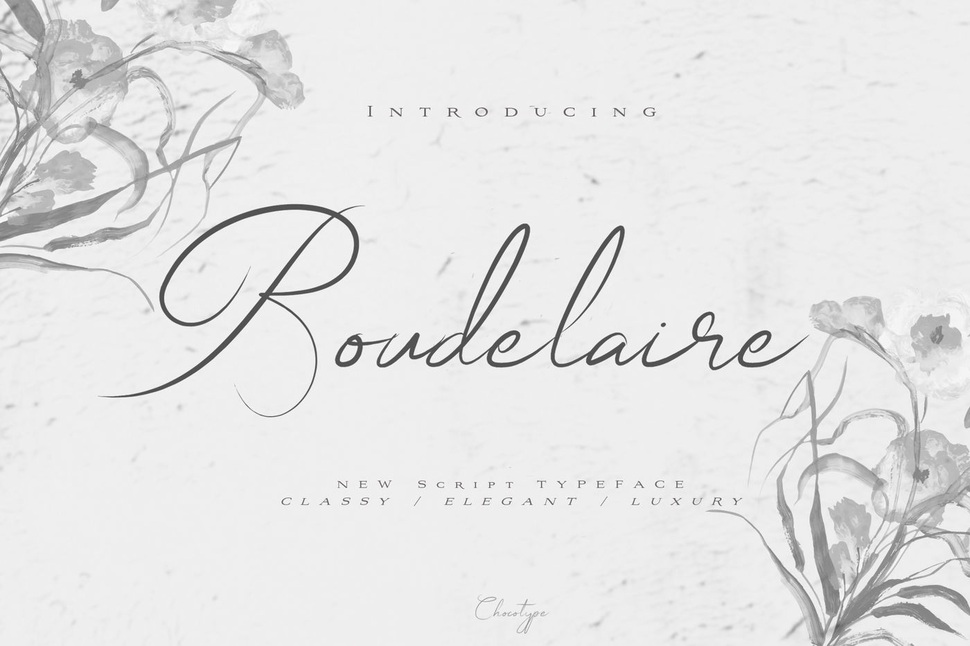 Boudelaire By Chocotype Thehungryjpeg Com