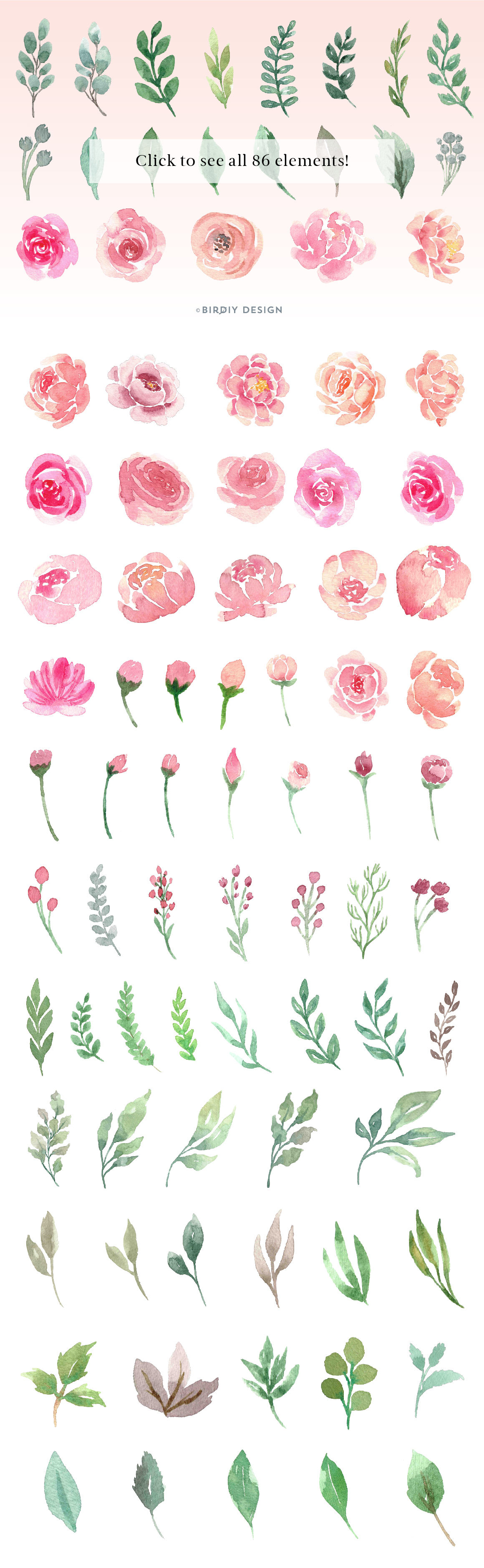 Loose Watercolor Roses & Peonies By BirDIY Design | TheHungryJPEG