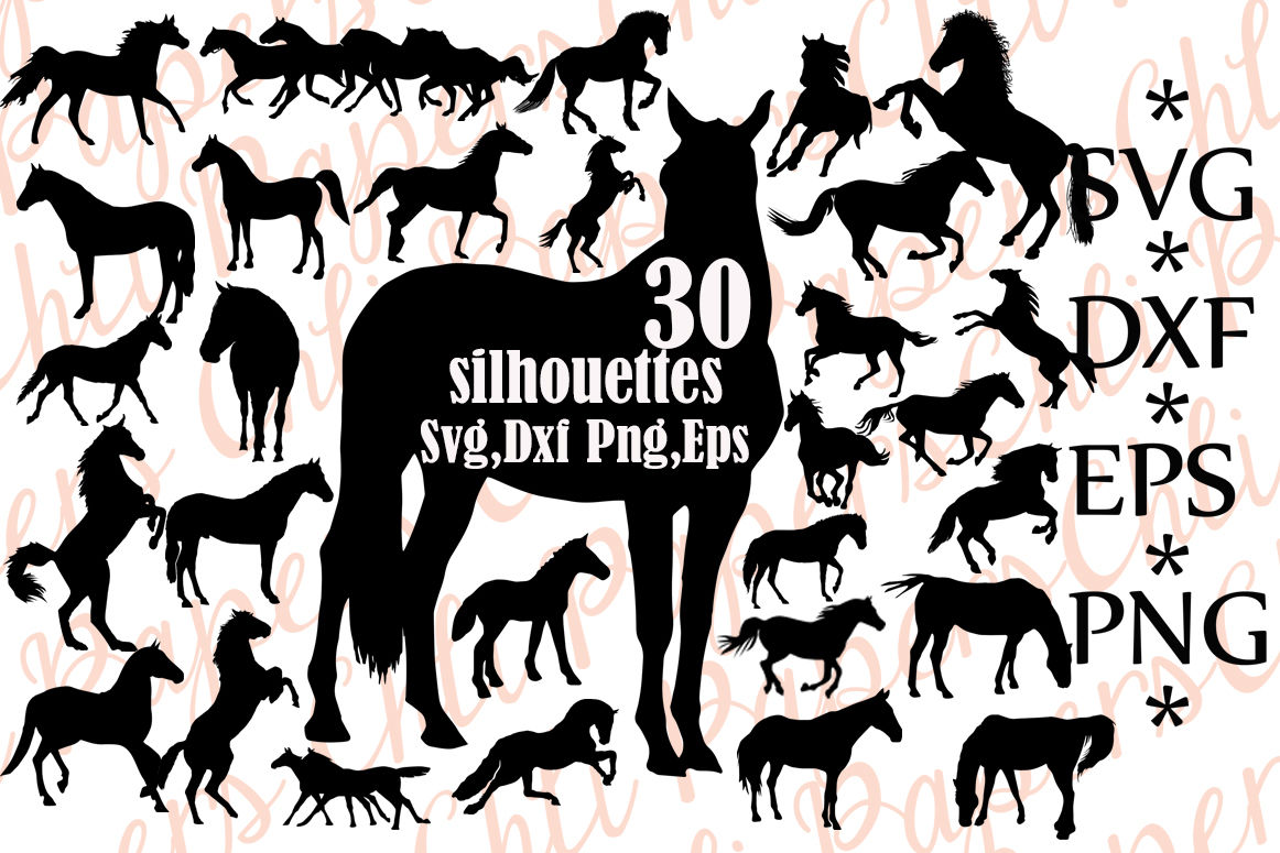 Horse Silhouette Svg Horse Clipart Horse Svg Bundle Animal Silhouet By Chilipapers Thehungryjpeg Com
