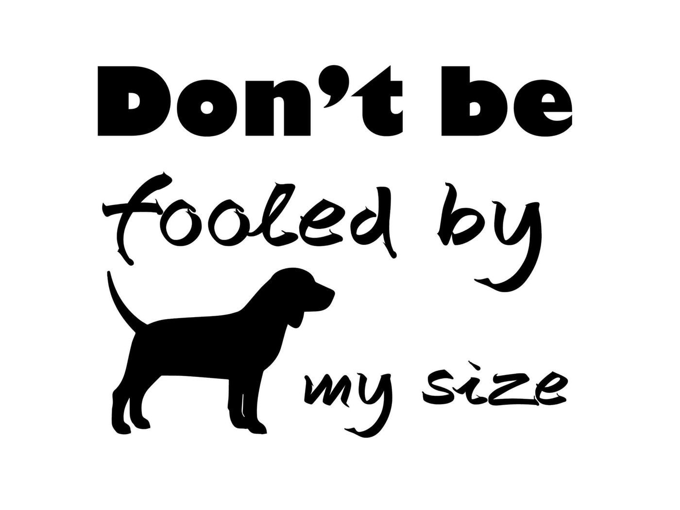 Don't be fooled by my size SVG DXF EPS PNG By twelvepapers ...