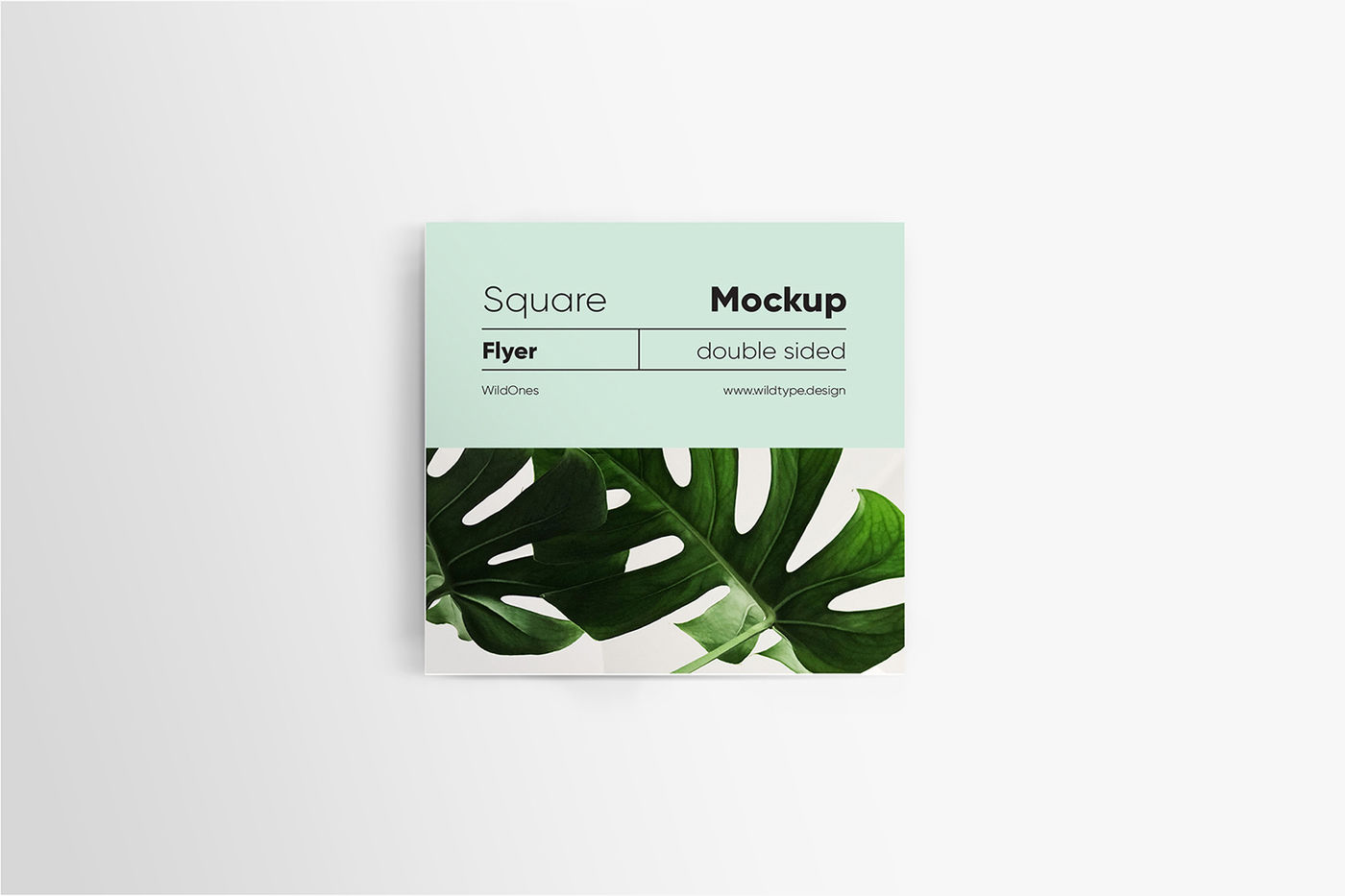 Download Square Flyer Mockup By Wildones Thehungryjpeg Com