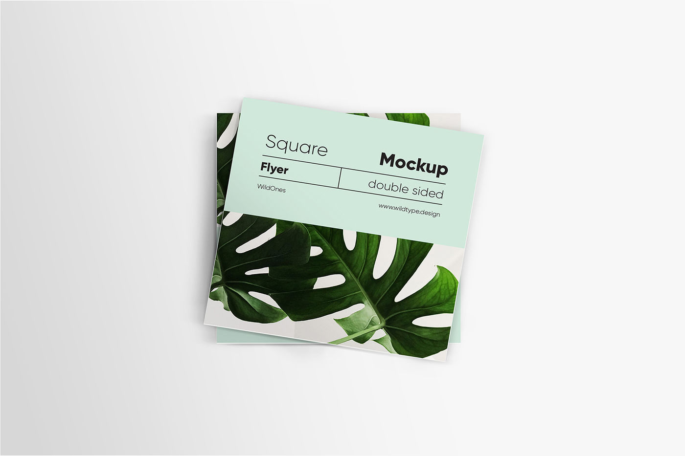 Download Square Flyer Mockup By WildOnes | TheHungryJPEG.com