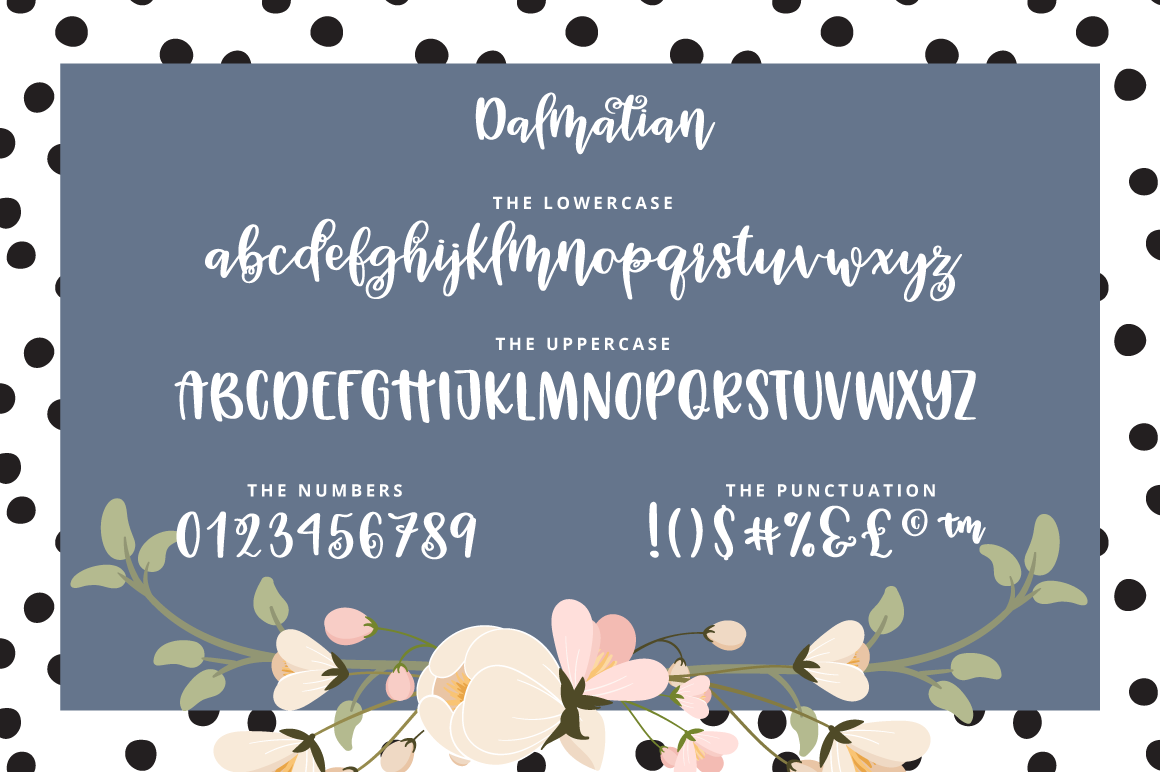 Dalmatian A Modern Hand Lettered Bouncy Script Font By Svg Gallery Thehungryjpeg Com
