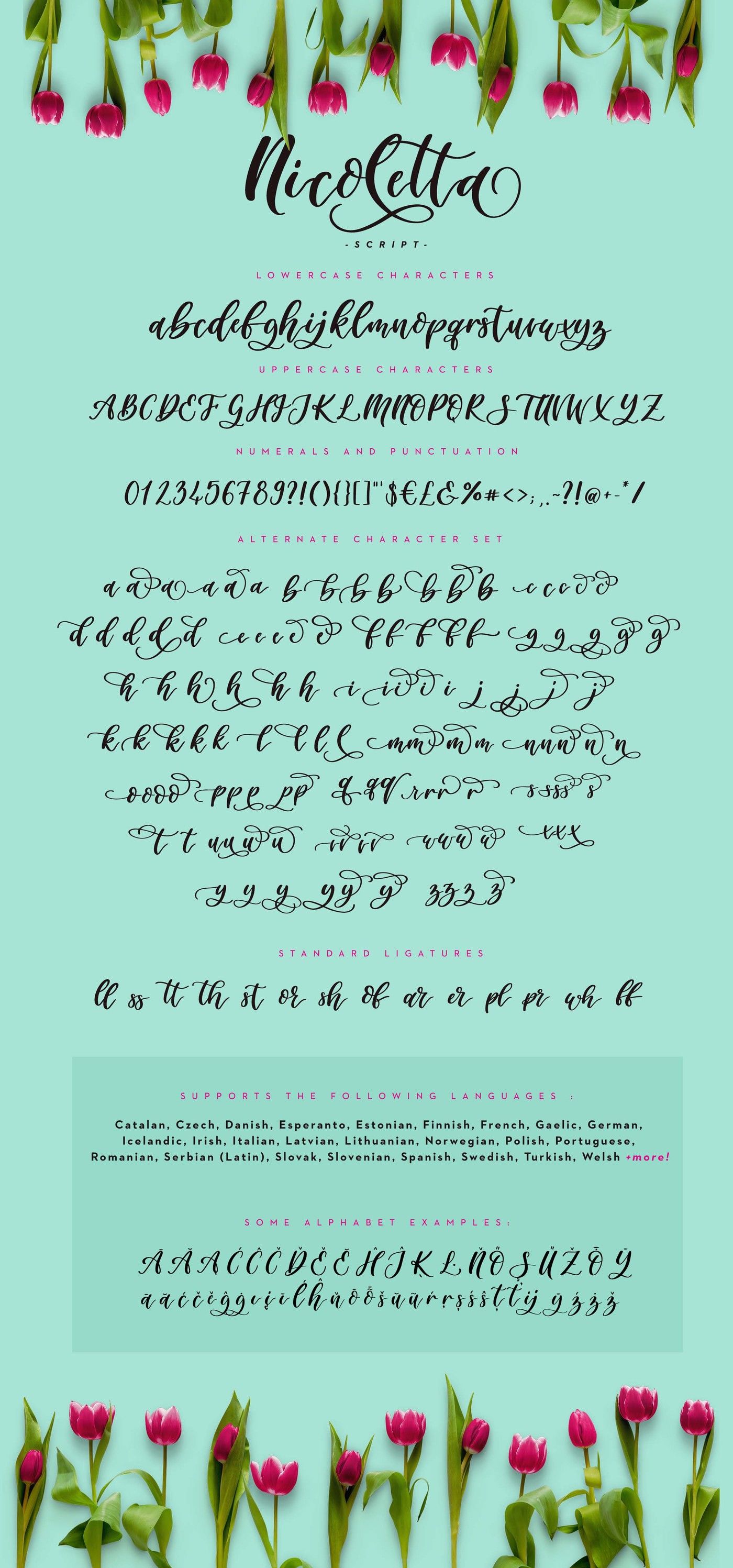 Nicoletta Script A Handwritten Multilingual Script Font By Freeling Design House Thehungryjpeg Com