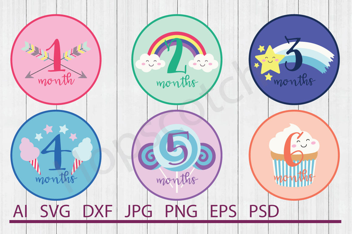 Baby Months Bundle Svg Files Dxf Files Cuttable Files By Hopscotch Designs Thehungryjpeg Com