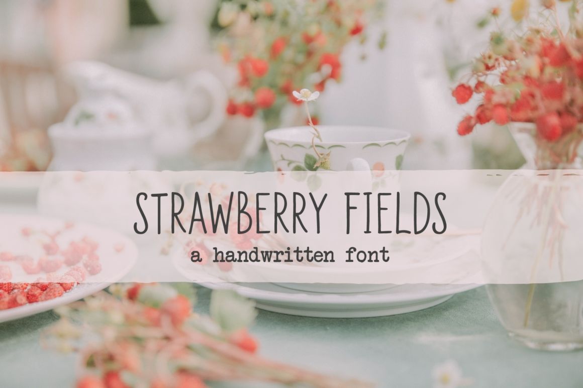 Strawberry Fields Script By Northernlight Studio Thehungryjpeg Com