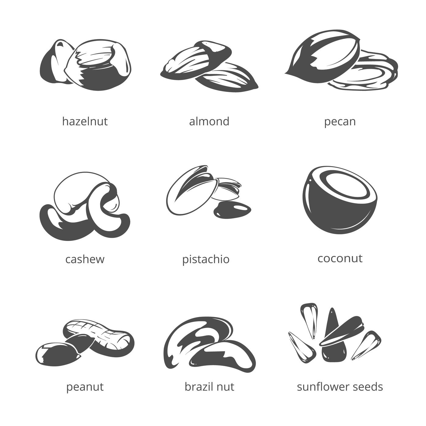 Nuts Vector Icon Set By Microvector Thehungryjpeg Com