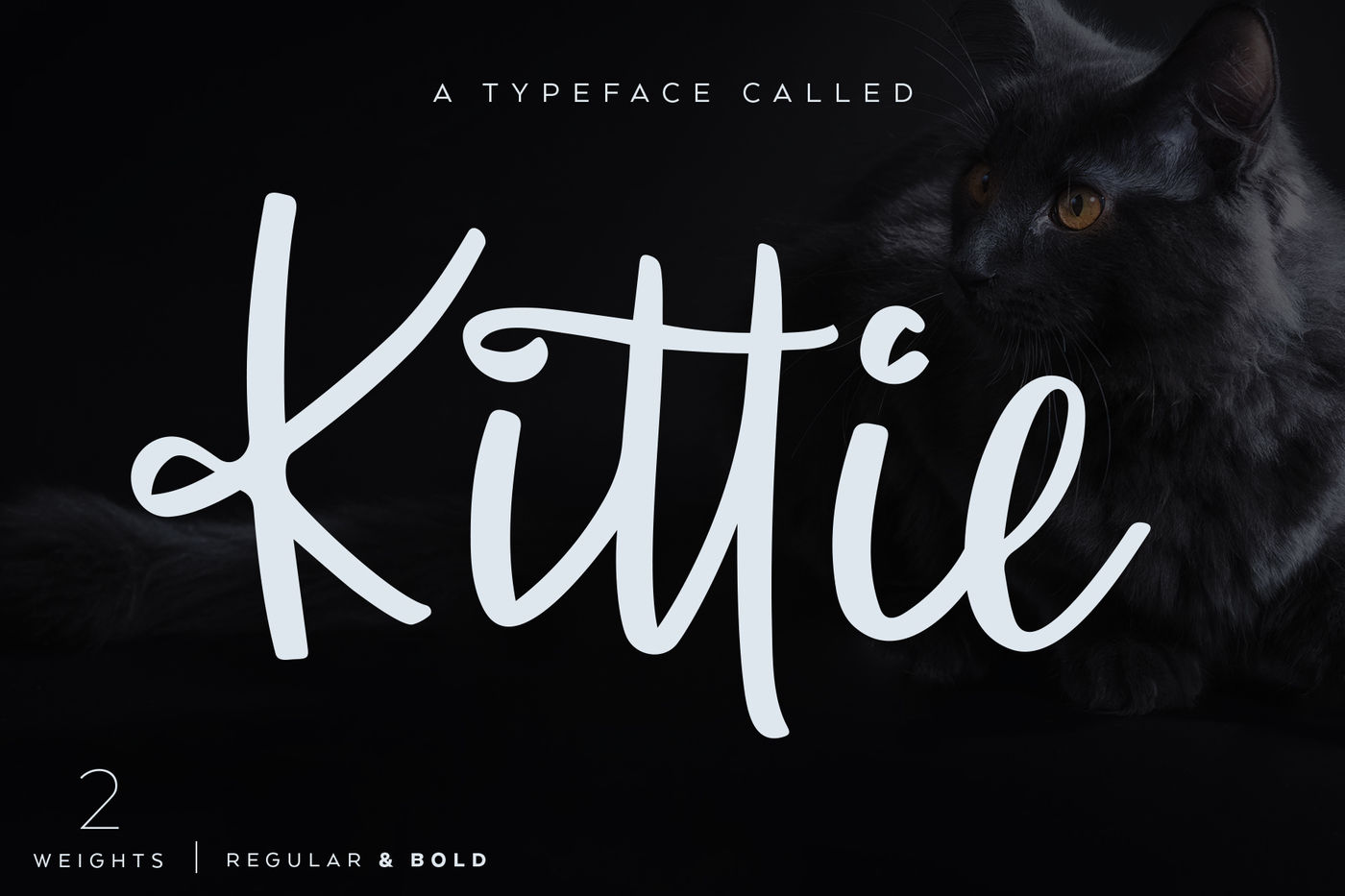 Kittie Regular Bold By Ayca Atalay Creative Thehungryjpeg Com