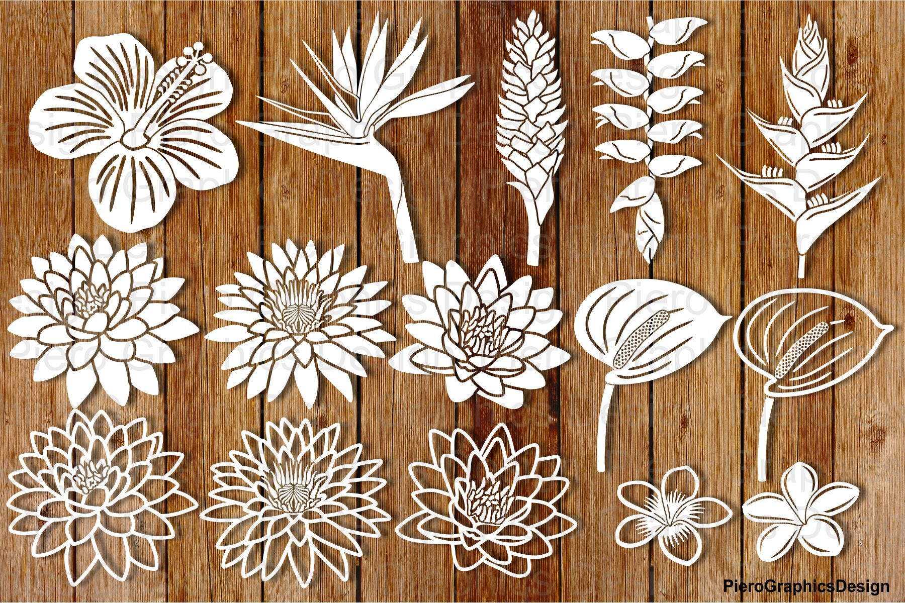 Tropical Flowers SVG files By PieroGraphicsDesign | TheHungryJPEG