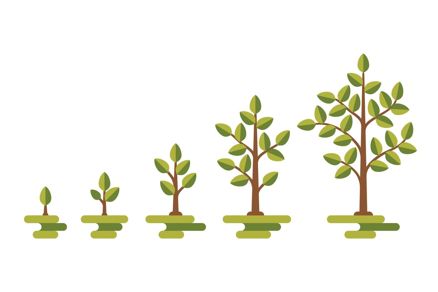 Green tree growth vector diagram By Microvector TheHungryJPEG