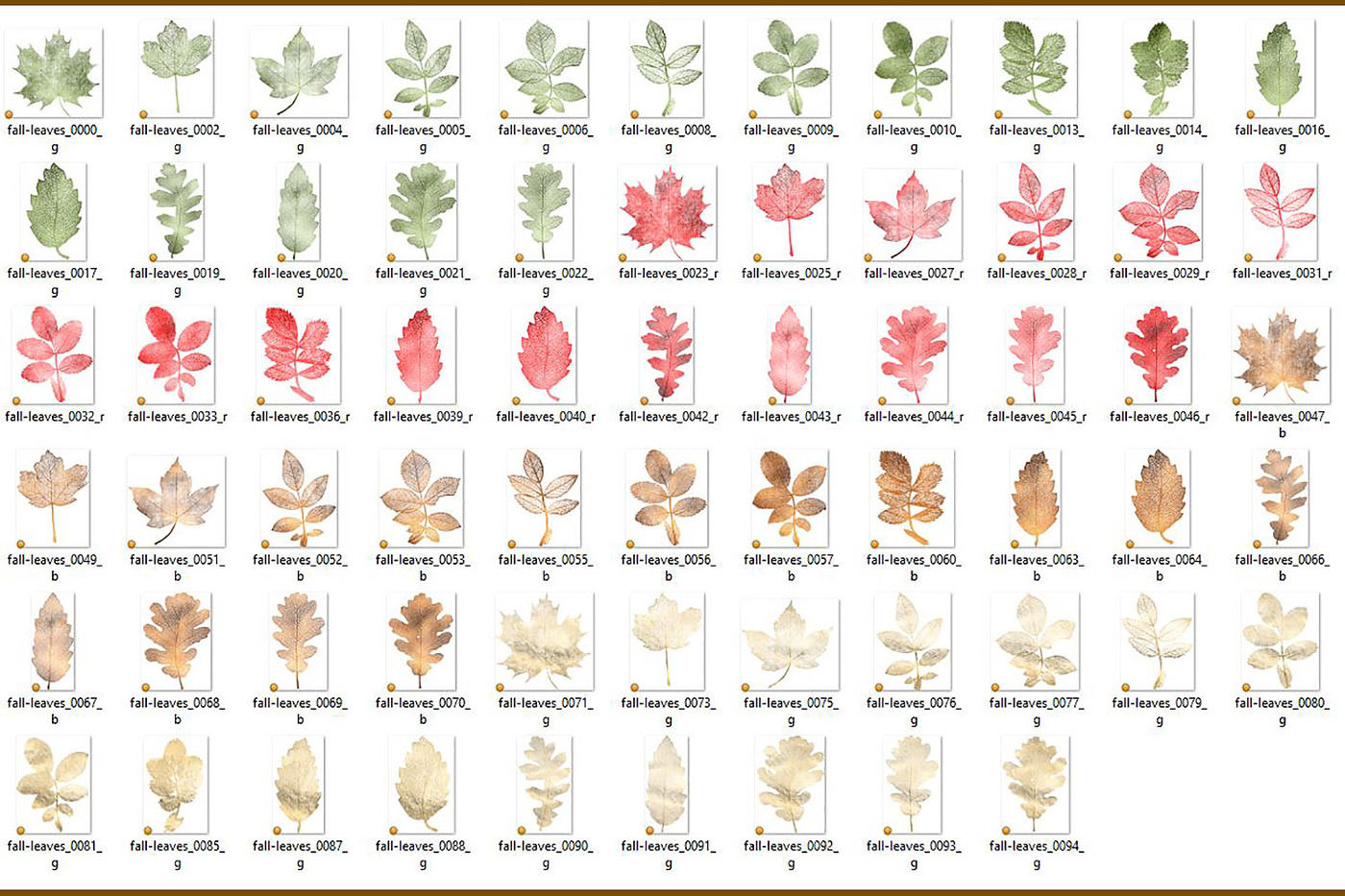 Fall Leaves Clipart By Digital Curio | TheHungryJPEG