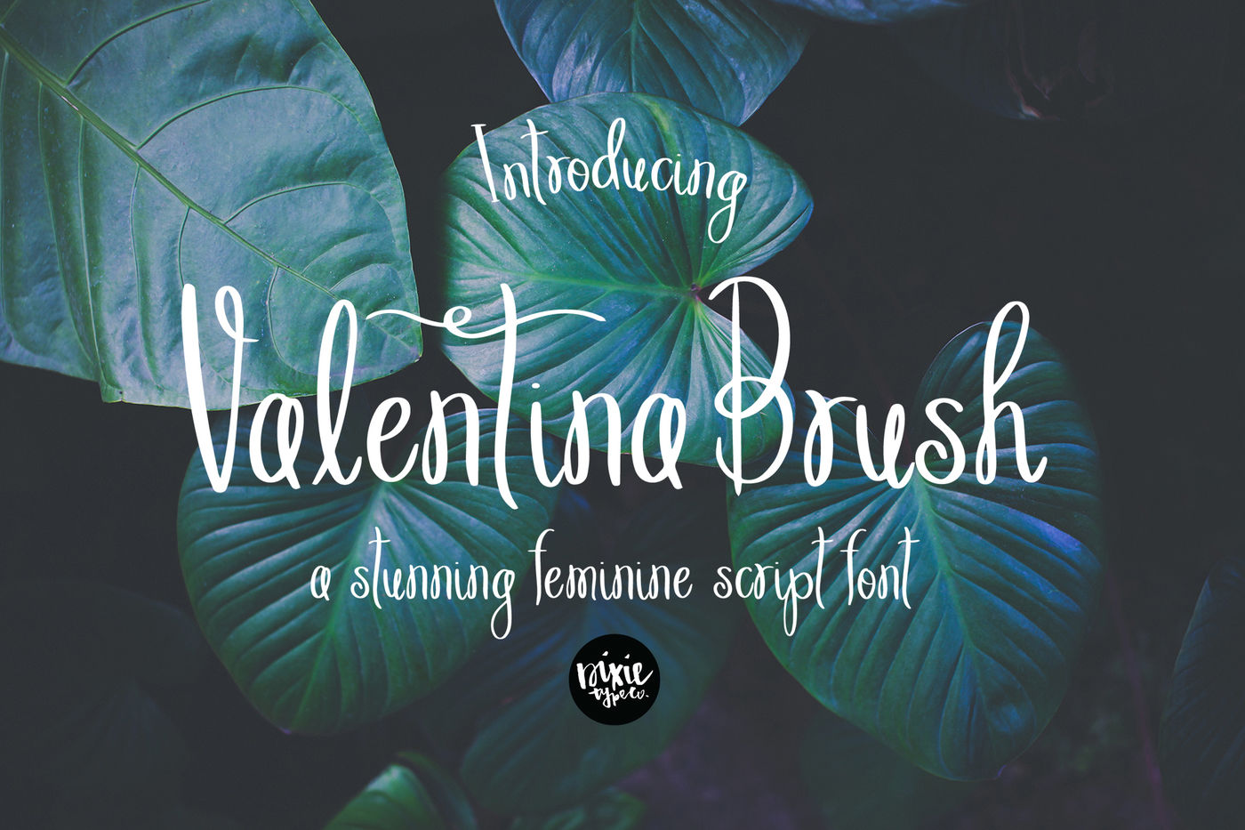 Valentina Brush Script Font By Dixie Type Co Thehungryjpeg Com