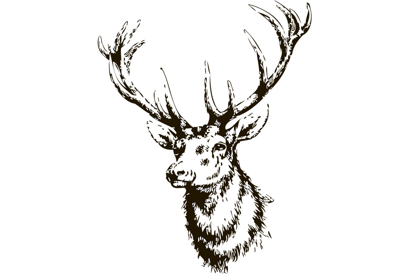 ELK head hand drawn vector By Anastasiya Oleynik