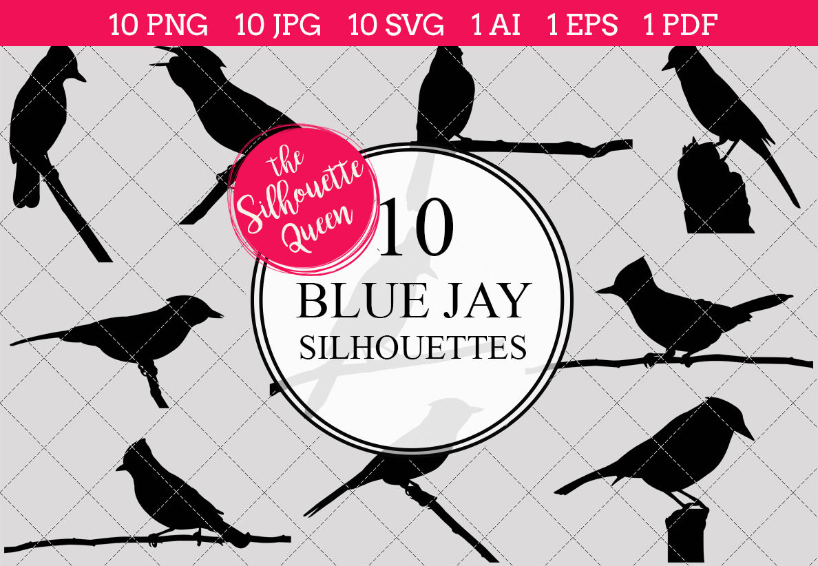 Blue Jay Silhouette Vectors By The Silhouette Queen | TheHungryJPEG