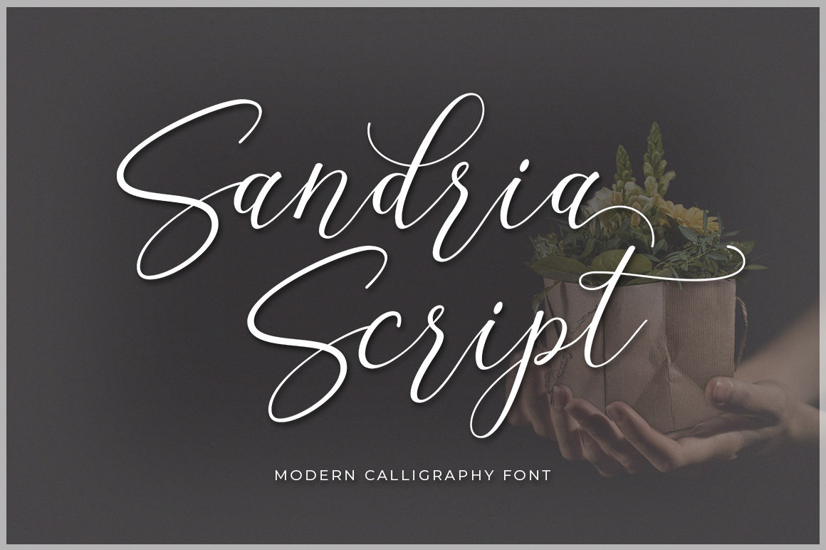 Sandria Script By Attract Studio Thehungryjpeg Com