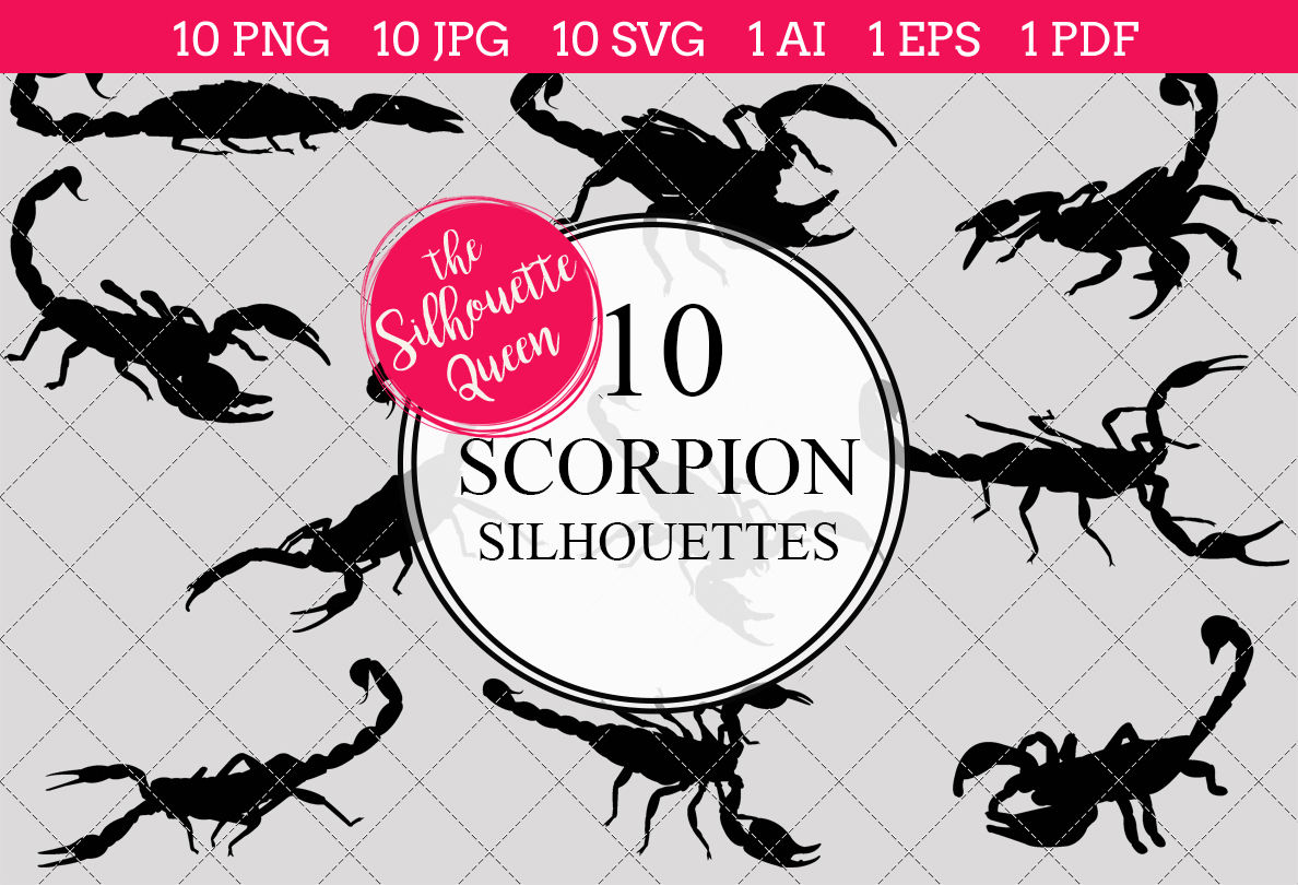Scorpion Silhouette Vectors By The Silhouette Queen Thehungryjpeg Com