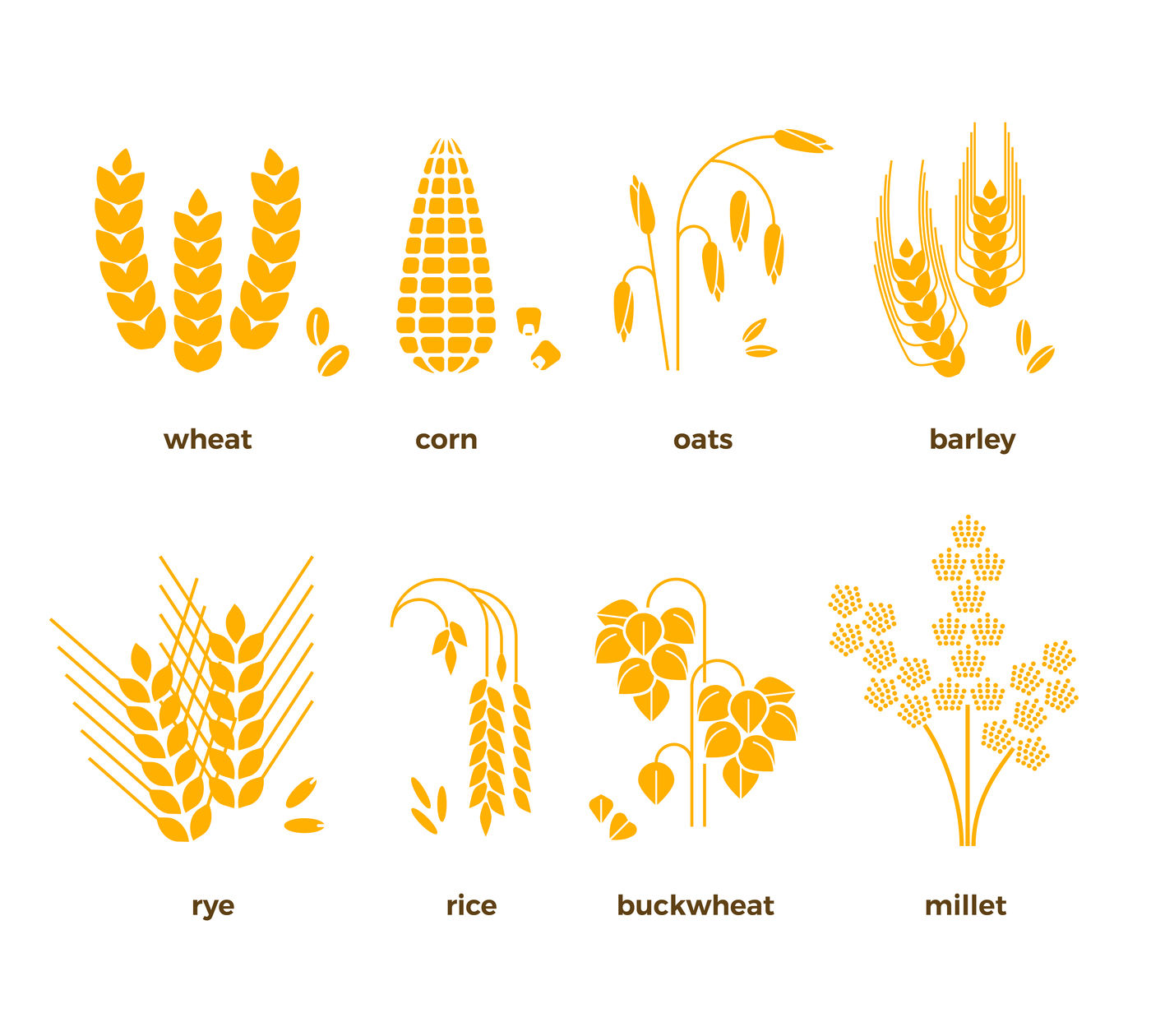Cereal Grains Vector Icons Rice Wheat Corn Oats Rye Barley By Microvector Thehungryjpeg Com