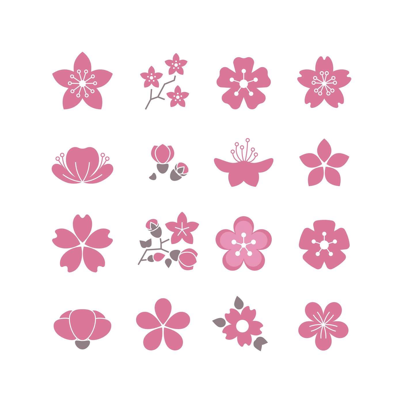 Cherry pink flower, spring sakura blossom vector icon set By