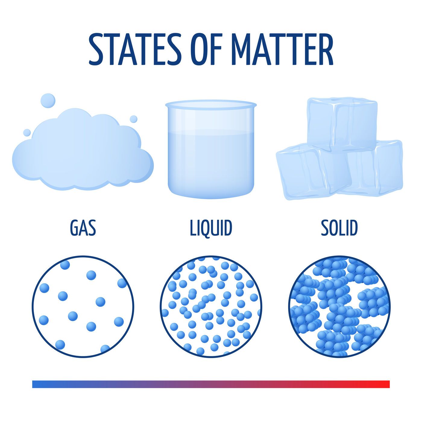 Fundamentals states of matter with molecules vector infographics By ...