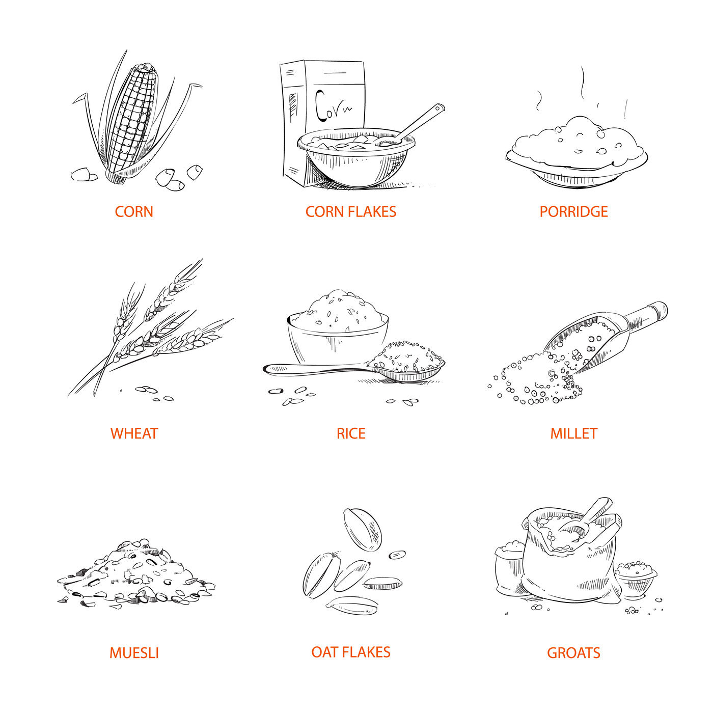 Doodle Cereals Groats Porridge Muesli Cornflakes Oat Rye Wheat By Microvector Thehungryjpeg Com