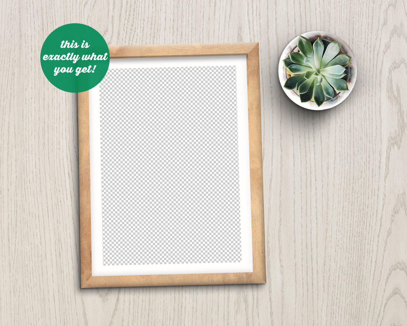 Download Non Photoshop Mockup Frame with Succulent By ...