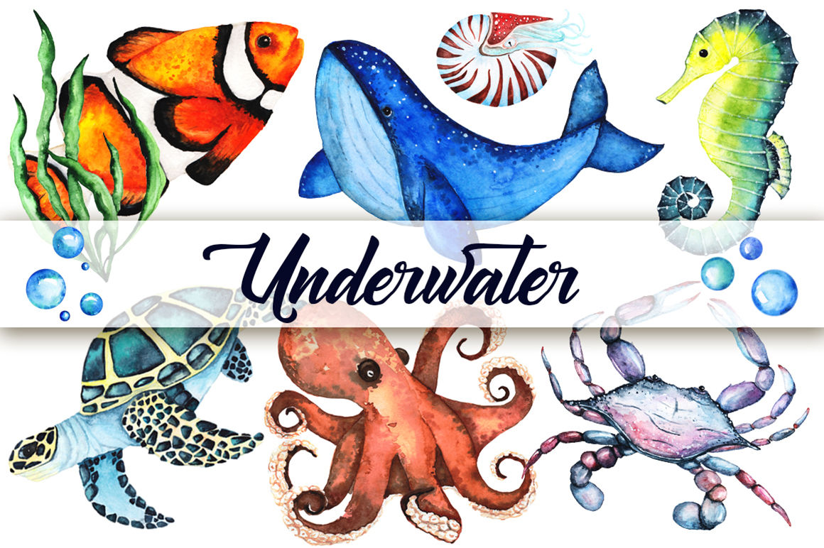 Watercolor set of sea animals By WhiteBat | TheHungryJPEG.com