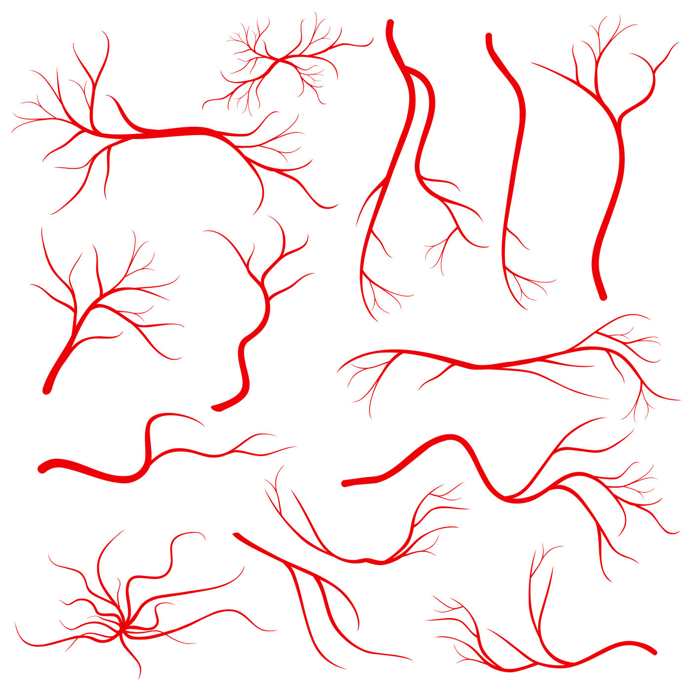 Human eye veins, vessel, blood arteries isolated on white vector set By