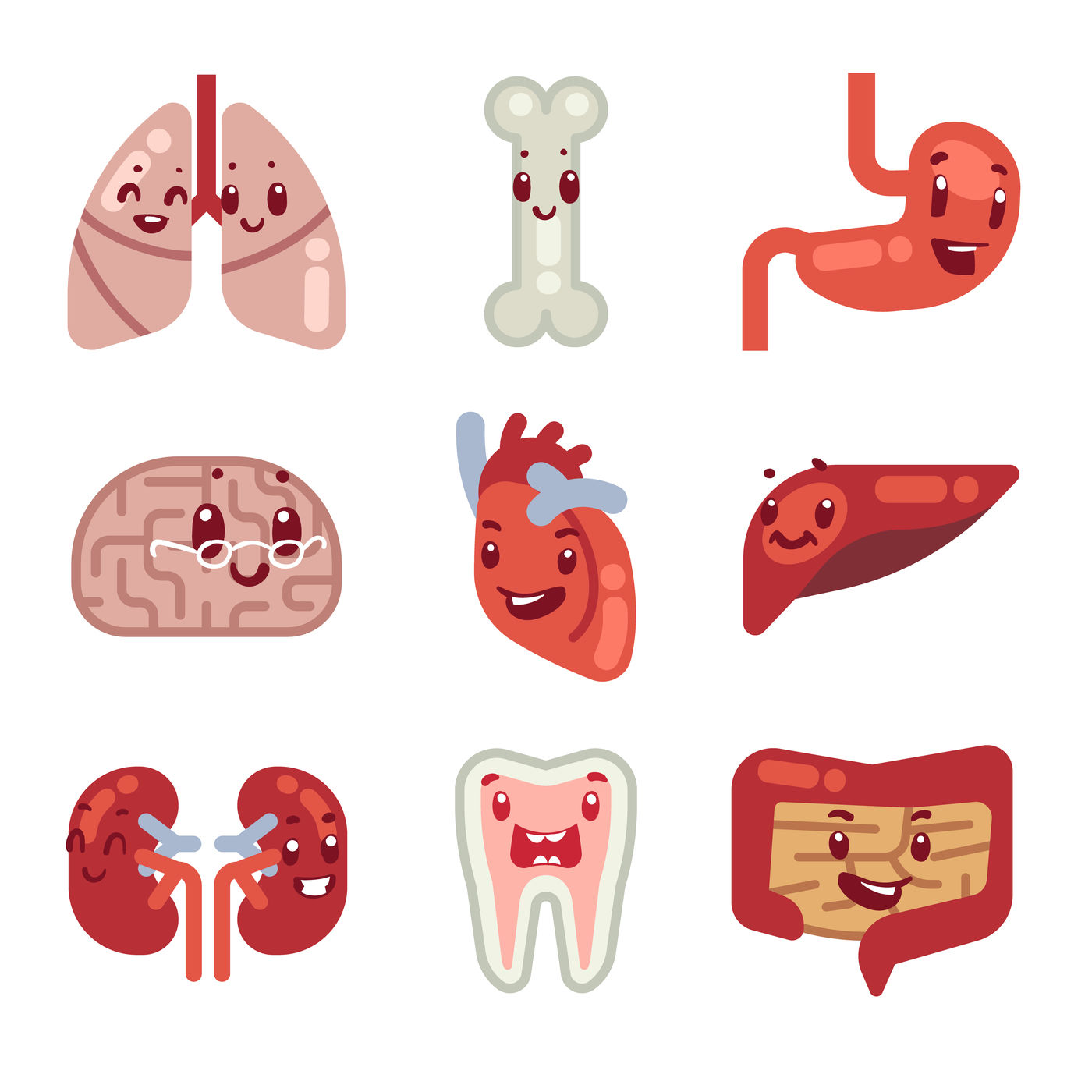 Cute Cartoon Internal Organs Vector Icons By Microvector Thehungryjpeg