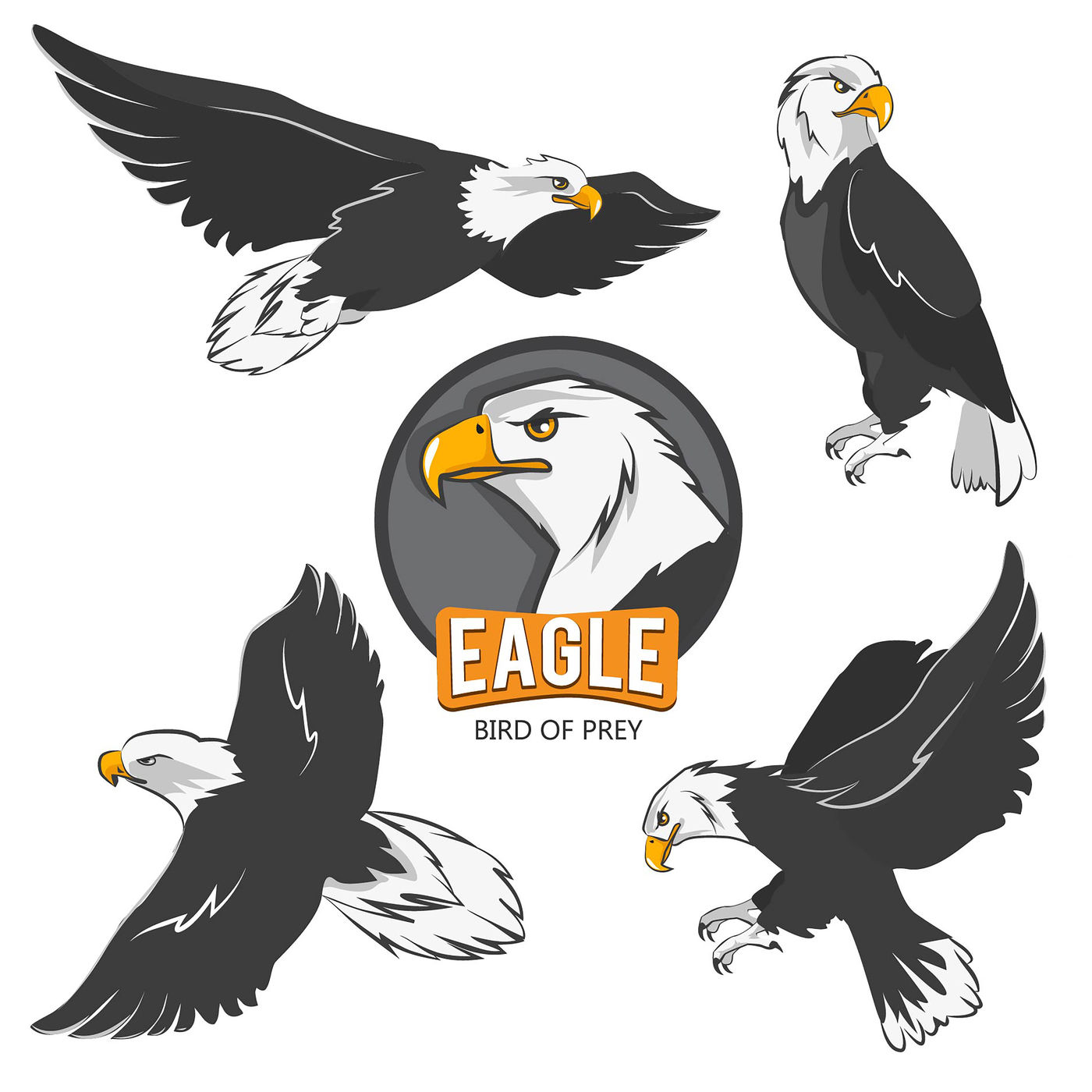 Collection of cartoon eagles. Flying birds isolate on white By ONYX |  TheHungryJPEG