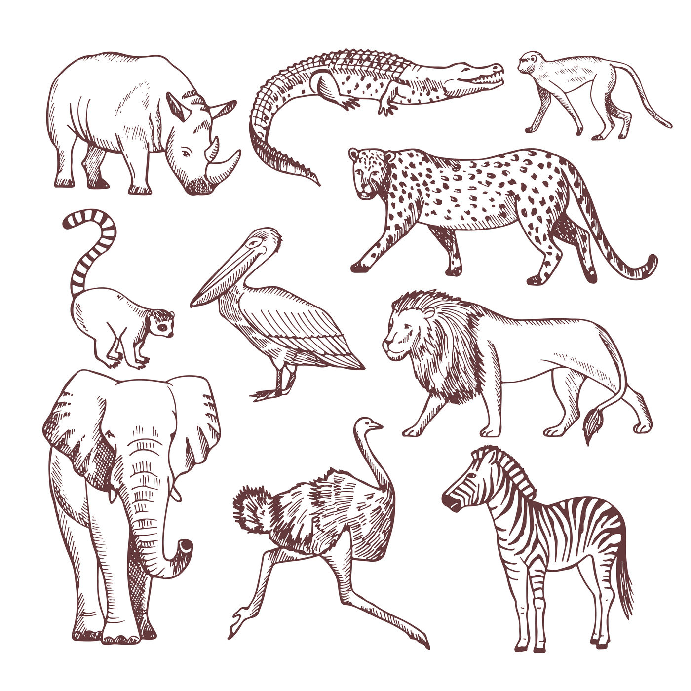 Hand drawn illustrations of african animals By ONYX | TheHungryJPEG.com