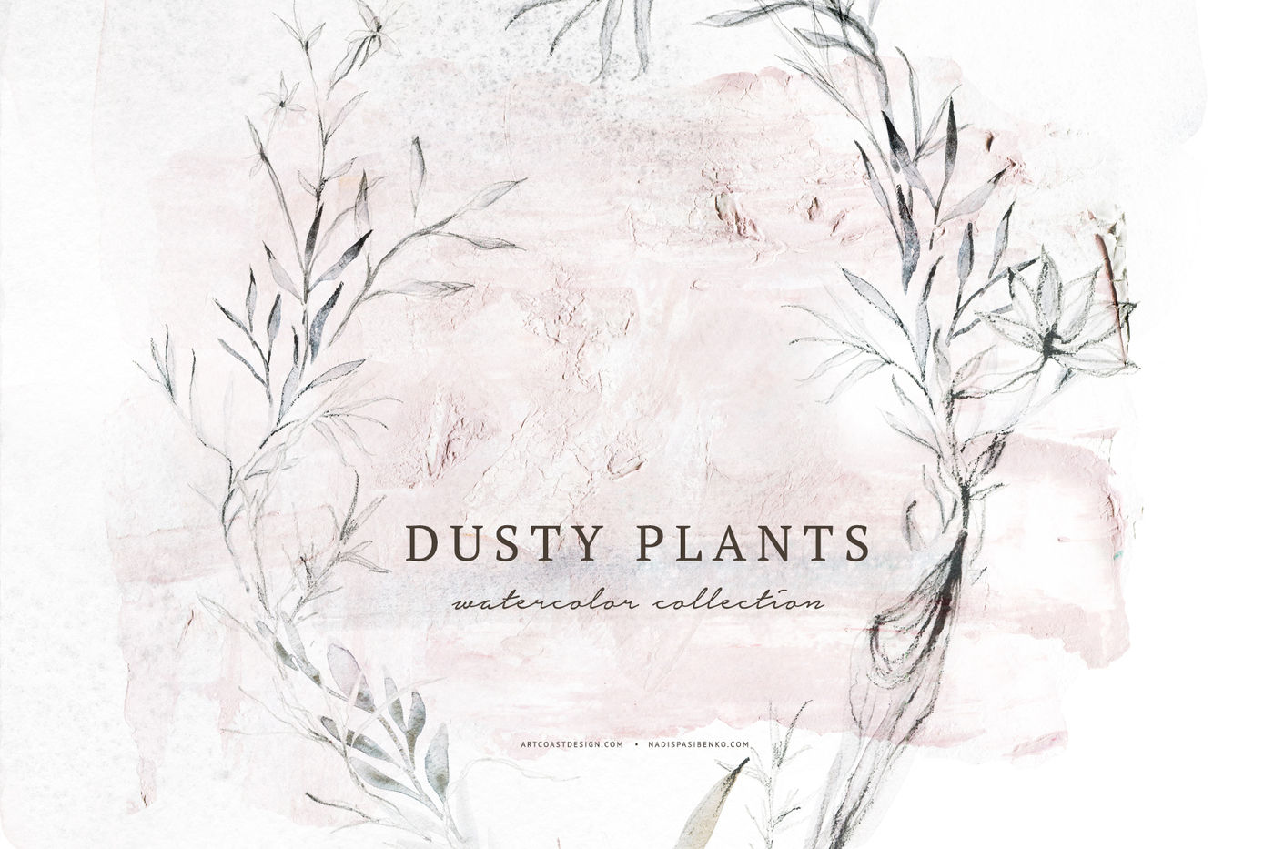 Watercolor Dusty Plants By Spasibenko Art Thehungryjpeg Com