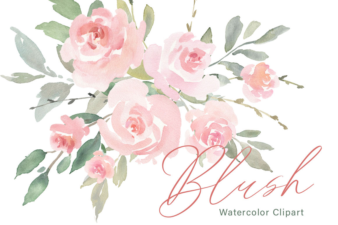 Pink Blush Watercolor Flowers Roses Png Collection By Watercolorflowers Thehungryjpeg Com