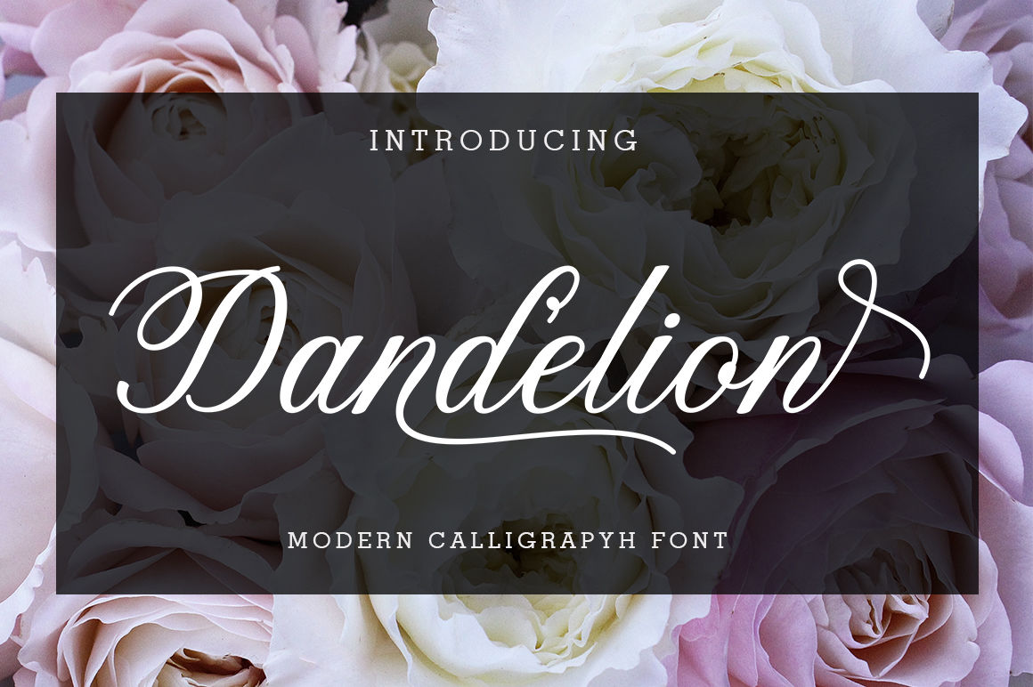 Dandelion Script By Supotype Thehungryjpeg Com