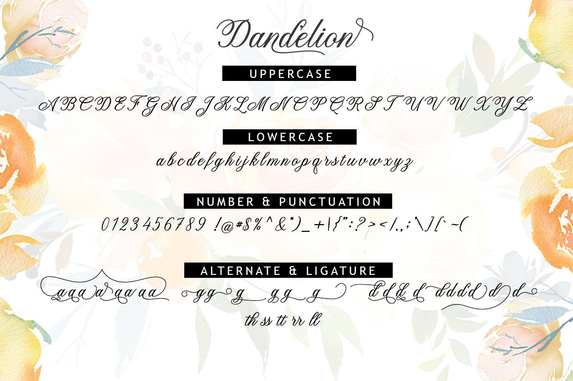Dandelion Script By Supotype Thehungryjpeg Com