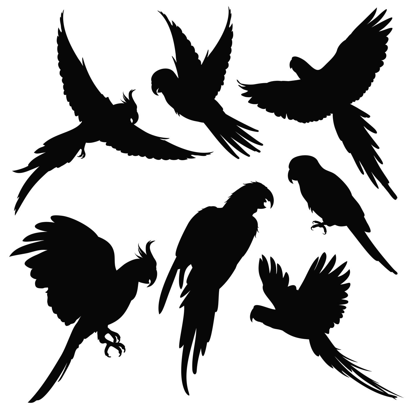 Vector Parrots Amazon Jungle Birds Silhouettes Isolated On White By Microvector Thehungryjpeg Com