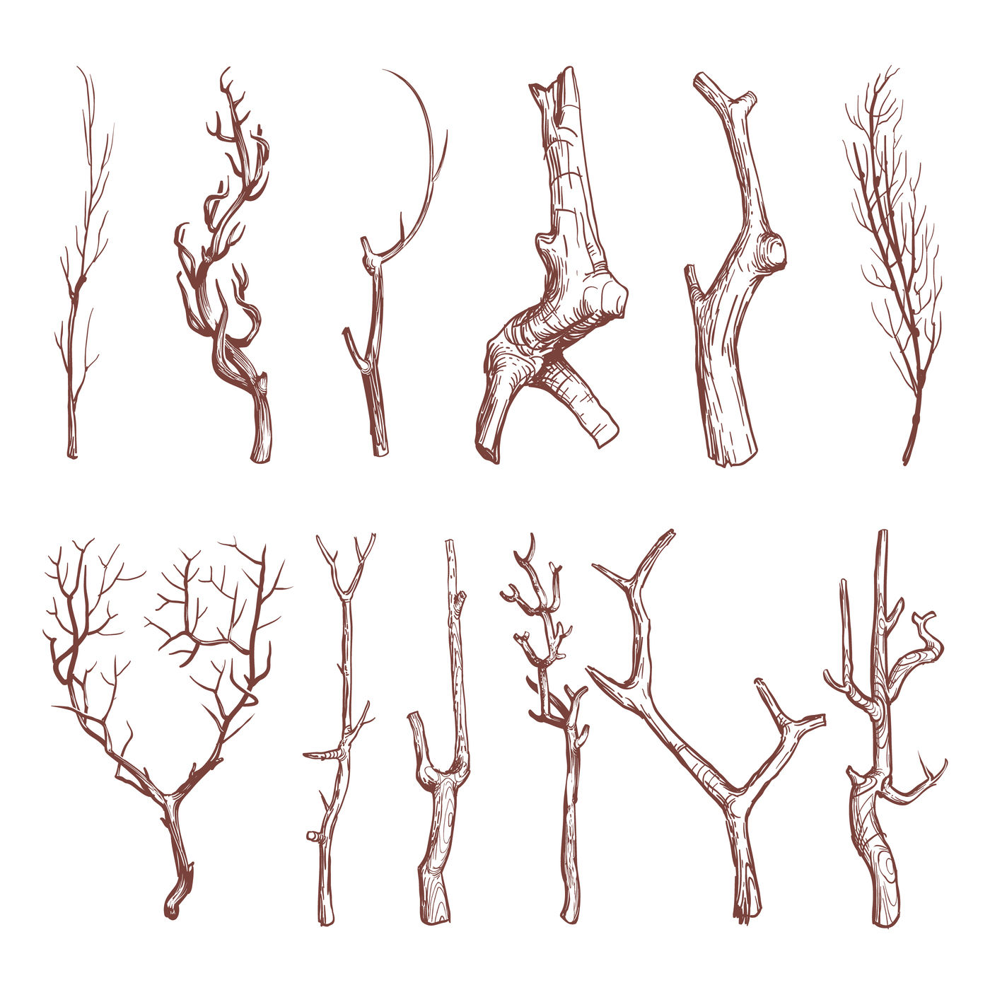 Tree Trunk Drawing png download - 960*1920 - Free Transparent Twig png  Download. - CleanPNG / KissPNG