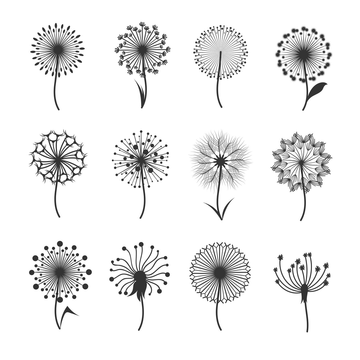 Vector Black And White Dandelion Floral Pattern Of Spirals, Swirls