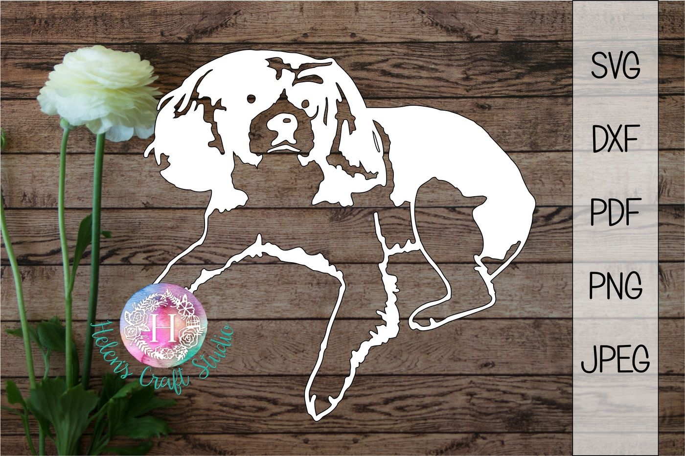 Cavalier King Charles Spaniel SVG, DXF, PDF, PNF and JPEG By Helens