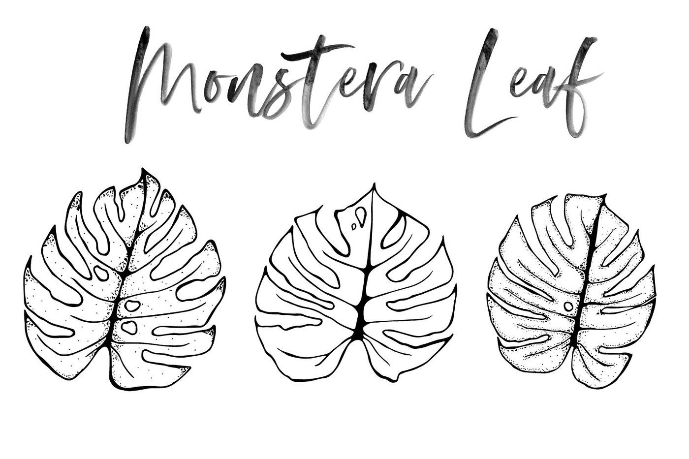 How To Draw A Monstera Leaf 14. 
