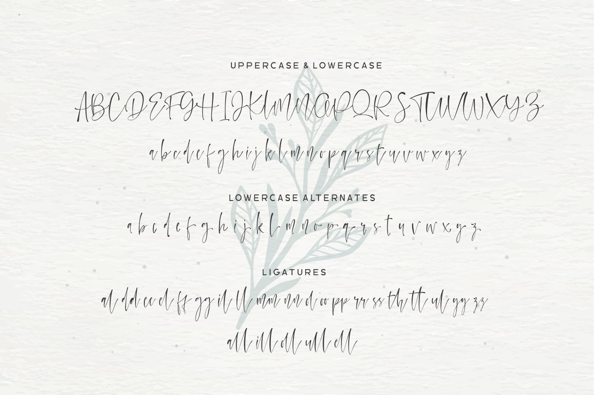 Watercoral Natural Script Font By Sronstudio Thehungryjpeg Com