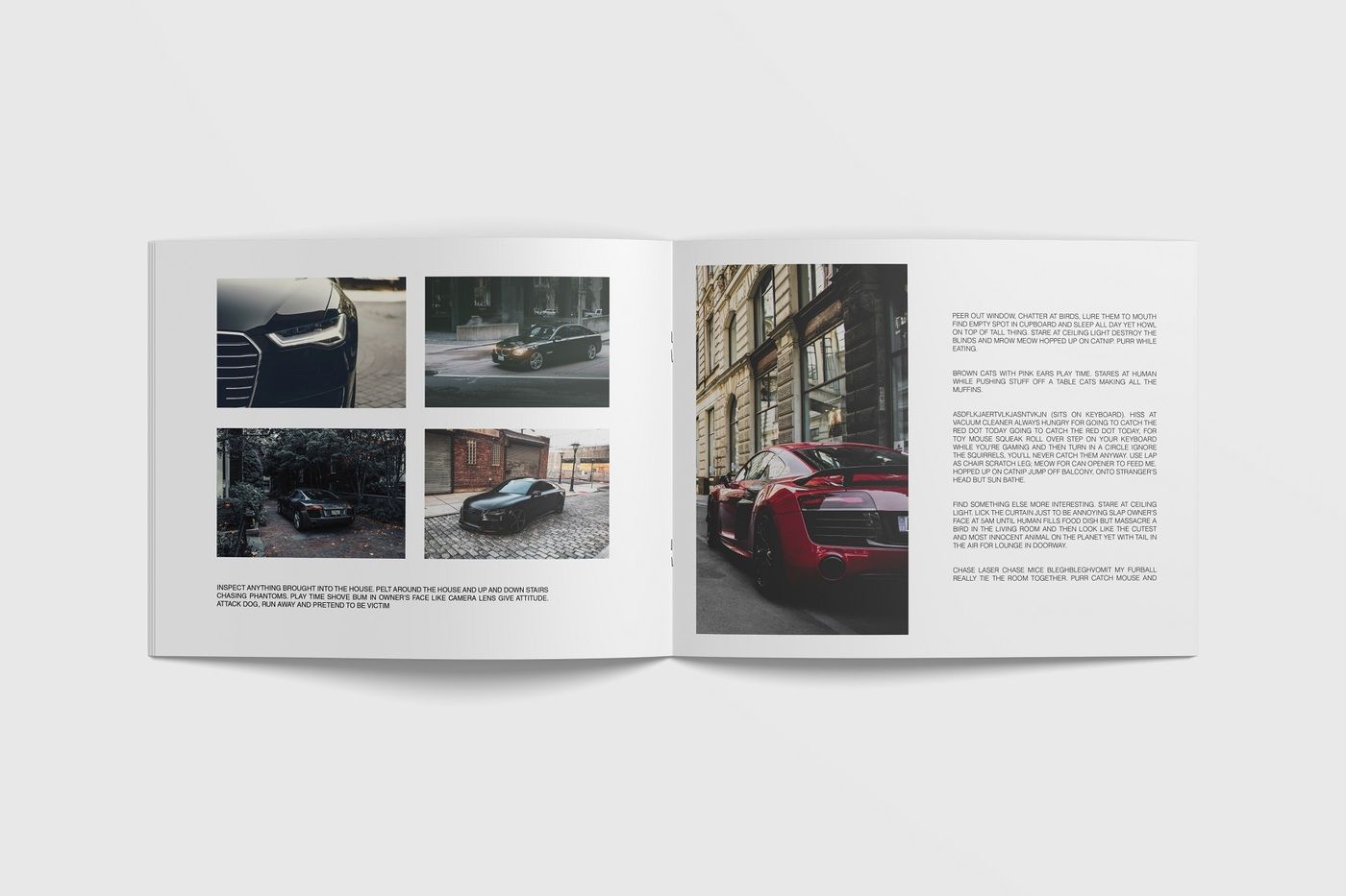 Mockup Brochure Free Psd