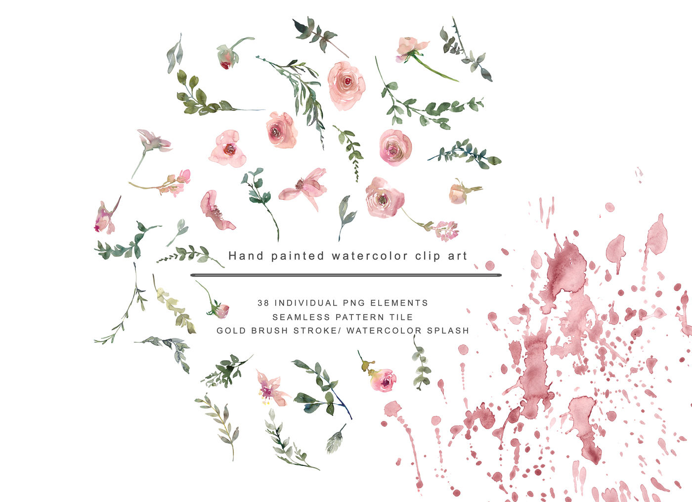 Watercolor Blush Rose Clipart Set By Patishop Art | TheHungryJPEG.com