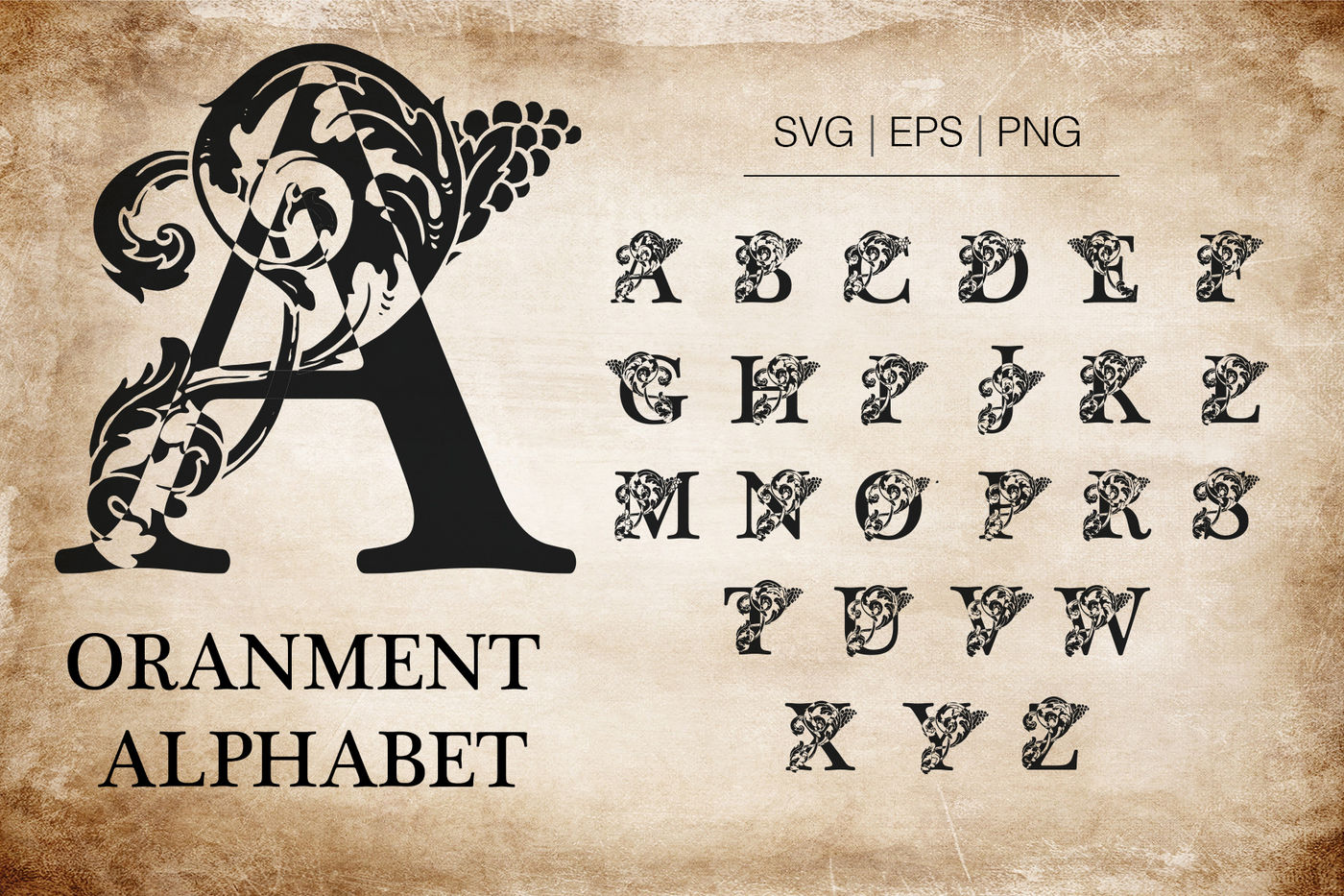 Ornamental Alphabet Character Set Initials And Alphabet By Samiradragonfly Thehungryjpeg Com