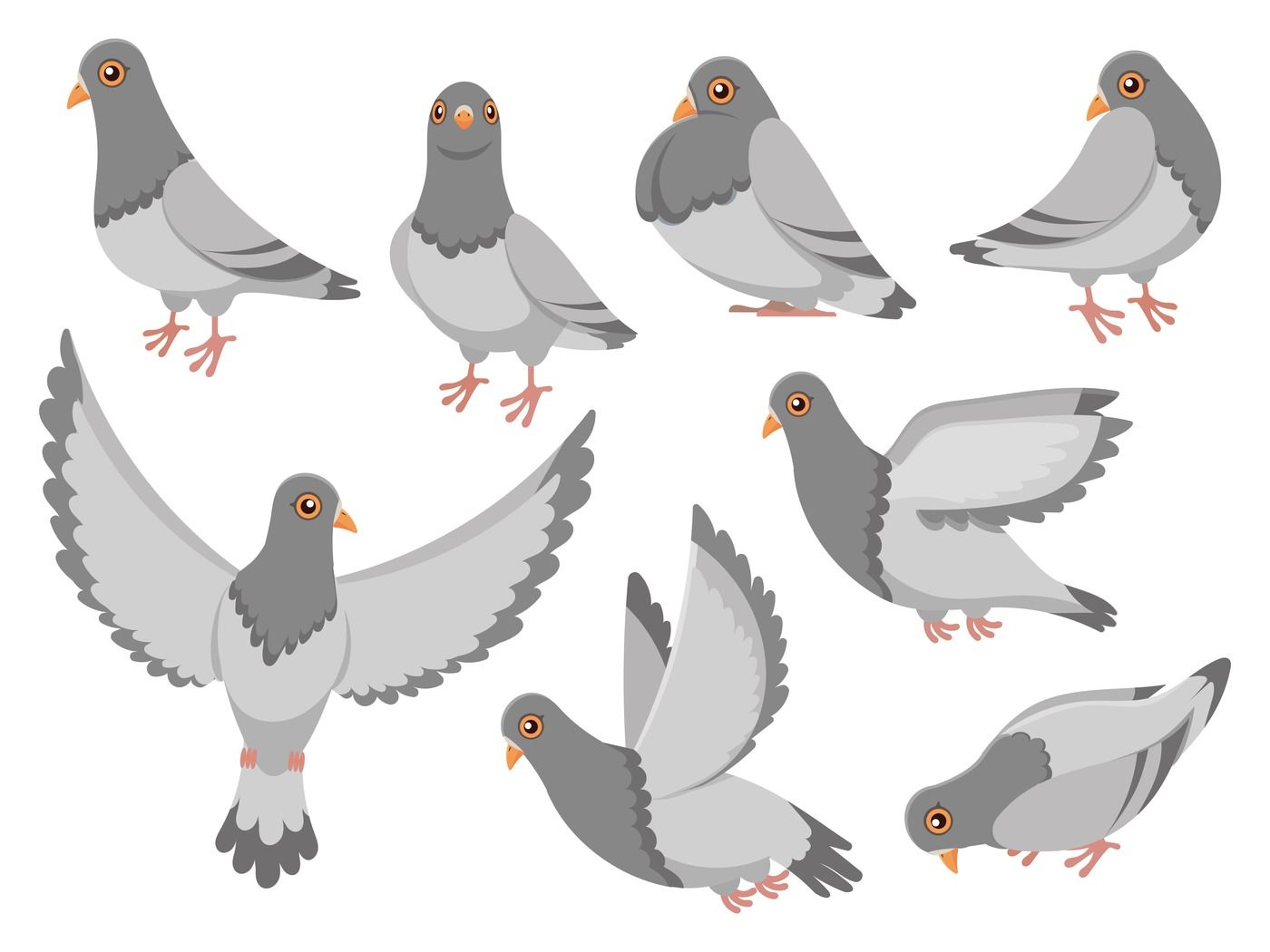 Cartoon pigeon. City dove bird, flying pigeons and town birds doves is By  Tartila | TheHungryJPEG