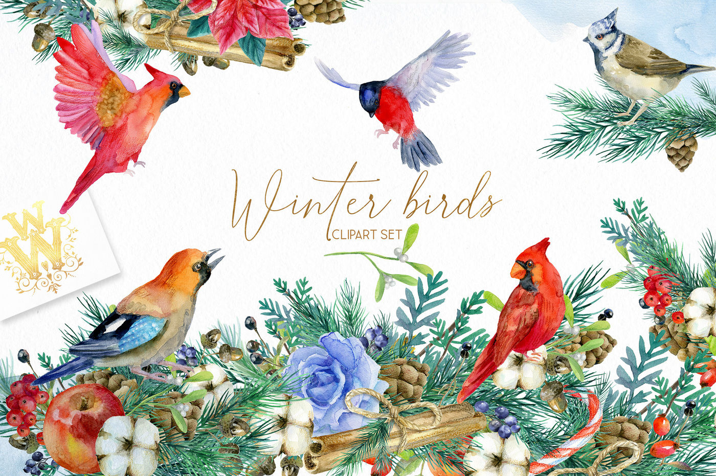 Watercolor winter birds clipart By WonderWonder | TheHungryJPEG.com