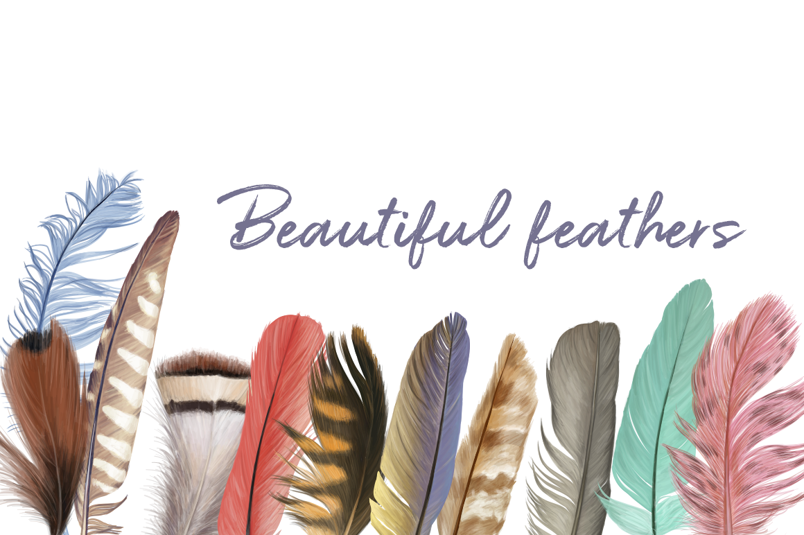 Marvelous vector feather collection By NatalkaDmitrova | TheHungryJPEG.com