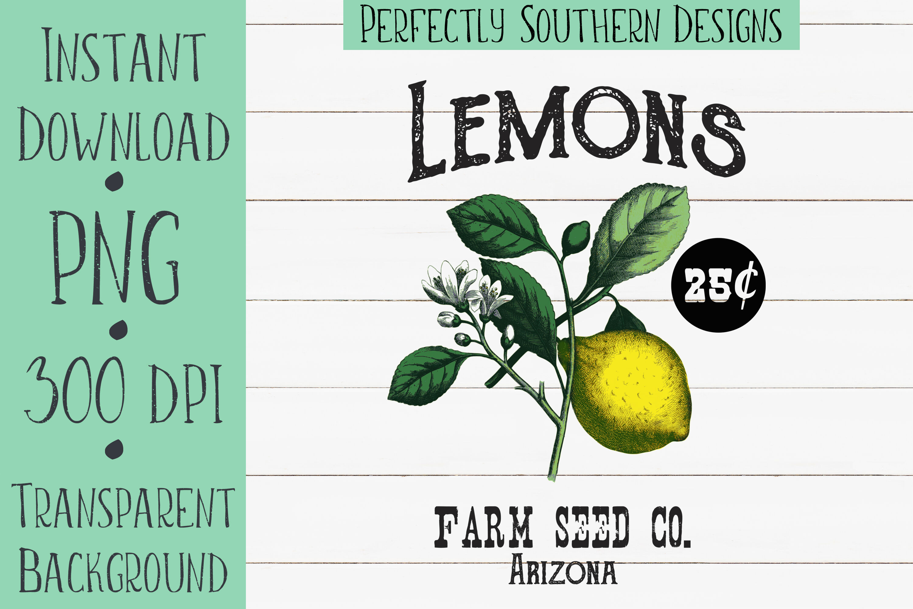 Lemon Seed Packet Design By PerfectlySouthernDesigns | TheHungryJPEG