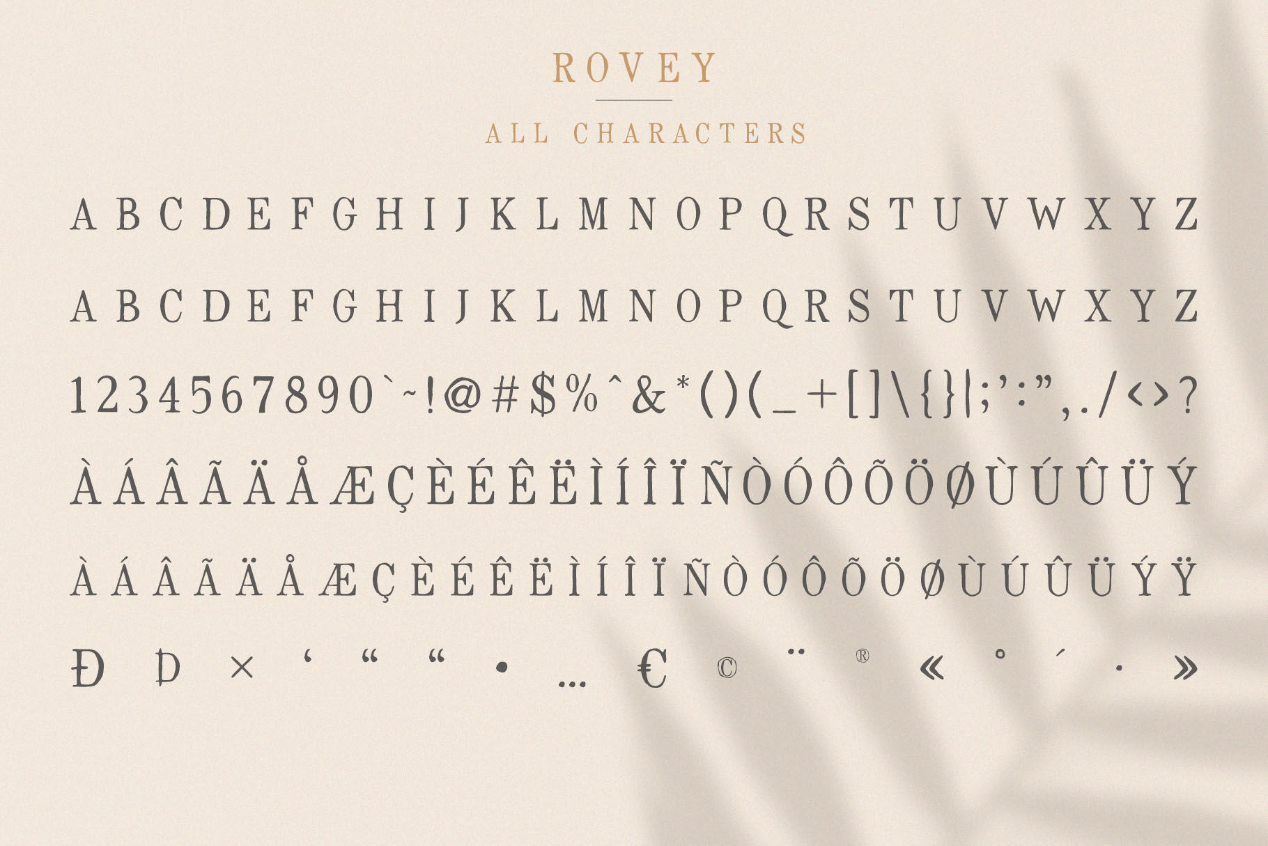 Rovey Handwritten Serif Font Bonus By Craft Supply Co Thehungryjpeg Com