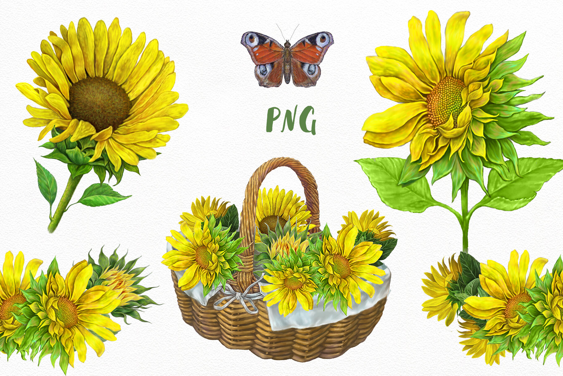 Free Free 179 Free Clipart Sunflower Pictures SVG PNG EPS DXF File